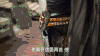宋茜