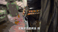 宋茜