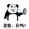 暴漫 文字表情包 老婆在吗 搞笑 沙雕 逗