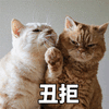 丑拒 猫 可爱 呆萌