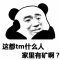 矿 熊猫头