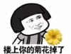 暴漫 文字表情包 楼上你的菊花掉了 搞笑 逗 魔性
