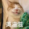 萌宠 猫星人 美滋滋 开心 呆萌 可爱