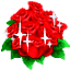 玫瑰花 美丽 红色 闪光