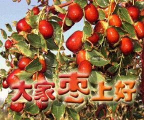 丰收GIF表情图_丰收表情_帮忙GIF动图-SOO动态包动态丰收图图片