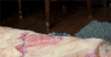 猫咪 寻找 可爱 搞笑