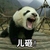 儿砸 熊猫 大叫