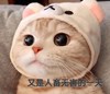 萌宠 喵星人 睁大眼睛 又是人畜无害的一天 呆萌 可爱