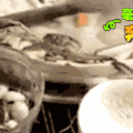 汪星人 可爱 萌宠 狗狗 二哈