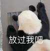 萌宠 熊猫 放过我吧 无奈 呆萌 可爱