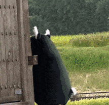 熊本熊 可爱 黑色 偷看