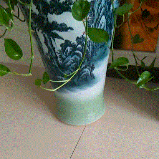 绿萝 植物 旺盛 大花瓶