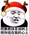 暴漫 熊猫头 把麋鹿挂在圣诞树上 把你挂在我的心上 搞笑 逗 魔性