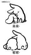 亲吻 兔子 扭动 可爱