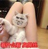 卑鄙 无耻 下流 看什么看臭屌丝