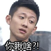 张一山 帅气 可爱 你瞅啥