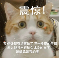 萌宠 猫星人 震惊 三十多度的手指怎么能打出这么冰冷的文字 难受 搞怪 呆萌