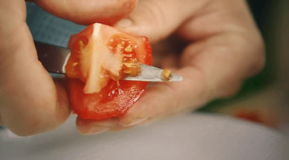处理 烤鳕鱼系列 烹饪 番茄 美食系列短片