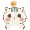 猫咪 生气 眼神 可爱