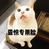 萌宠 喵星人 震惊 瞪大双眼 可爱 呆萌
