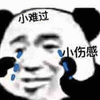 熊猫头 暴漫 难过 伤感 伤心