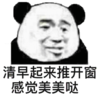 暴漫 文字表情包 清早起来推开窗 感觉美美哒 搞怪 沙雕 逗