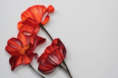 衍纸 唯美 花朵 壁纸