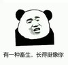 畜生 斗图 搞笑 滑稽