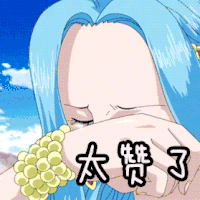 太赞了