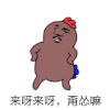 来呀来呀，甭怂嘛 金馆长 棕色 跳舞 鸡冠子