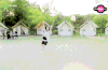 放风筝 高兴 林珍娜 NANA after school