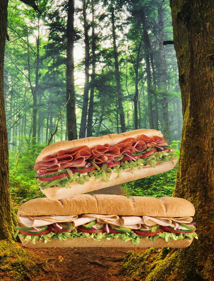 三明治 sandwich food 森林 飘动