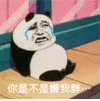 熊猫人 金馆长 流泪 你是不是嫌我胖