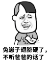 金馆长 斗图 兔崽子 翅膀硬了 不听爸爸话了
