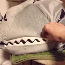 鲨鱼 玩偶 猫咪 可爱