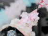 边伯贤 啵啵虎 可爱 花花