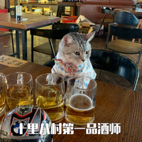 萌宠 喵星人 十里八村第一品酒师 喝酒 搞怪 逗