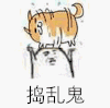 斗图 捣乱鬼 搞笑 搞怪 soogif soogif出品