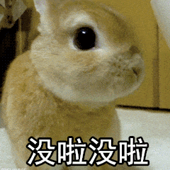 没啦没啦 兔子 可爱 摇晃