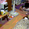 喵星人 害怕 前腿跑 惊慌失措 快跑 二货 搞笑