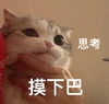 萌宠 喵星人 摸下巴 思考 呆萌 可爱