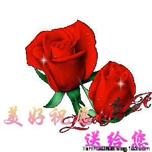 红色 闪烁 美好祝福送给你 玫瑰