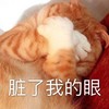 萌宠 猫星人 脏了我的眼 不想看 搞怪 呆萌