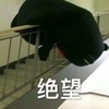 熊本熊 栏杆 挂着 绝望
