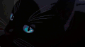 可爱  毛茸茸   搞怪  猫猫