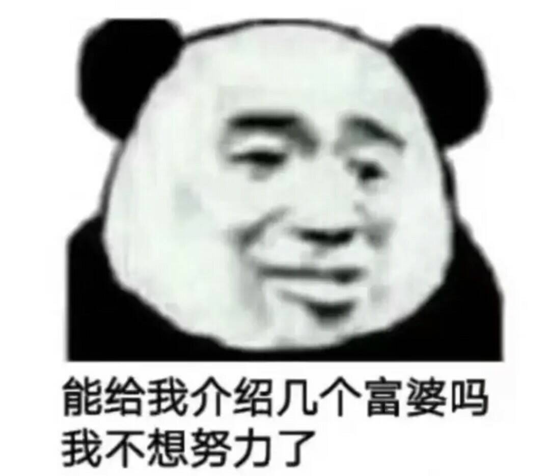 能给我 介绍几个 富婆吗 我不想努力了 熊猫人