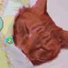 喵星人 猫 可爱 萌宠 猫咪