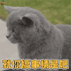 萌宠 猫咪 喵星人 就你搞事情是吧 搞怪 soogif soogif出品