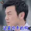 我不是精英 米阳 雷佳音 这是你干的啊 生气 soogif soogif出品
