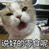说好的零食呢 猫猫 张嘴 萌萌哒